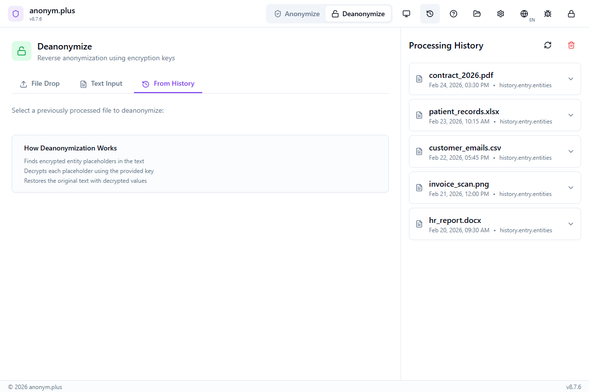 History panel showing list of processed files with dates and entity counts