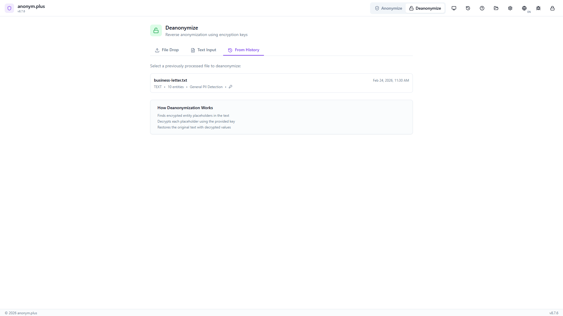 From History tab showing a previously anonymized business-letter.txt entry with 10 entities, TEXT format, and General PII Detection preset