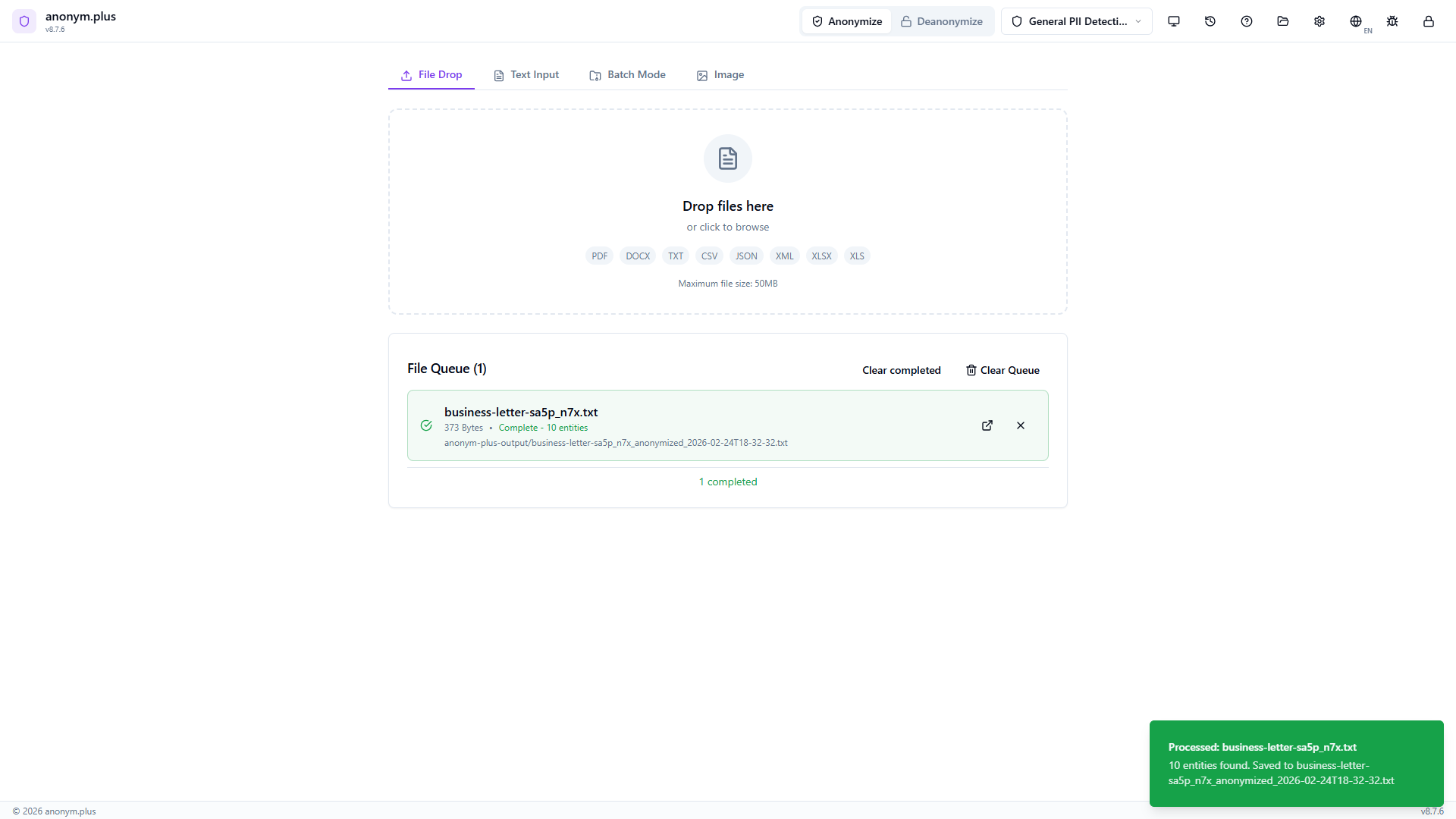 File processing complete — output contains encrypted tokens like PERSON_ENC that can be decrypted later