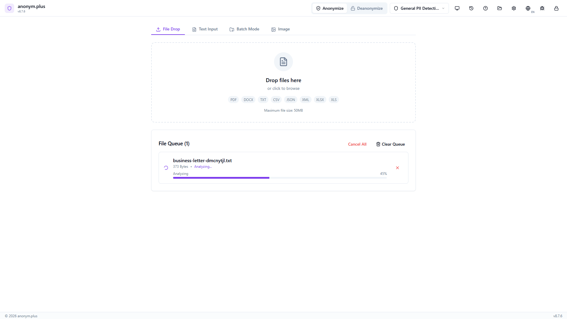 File analysis in progress at 45 percent — extracting text and detecting PII entities with progress bar