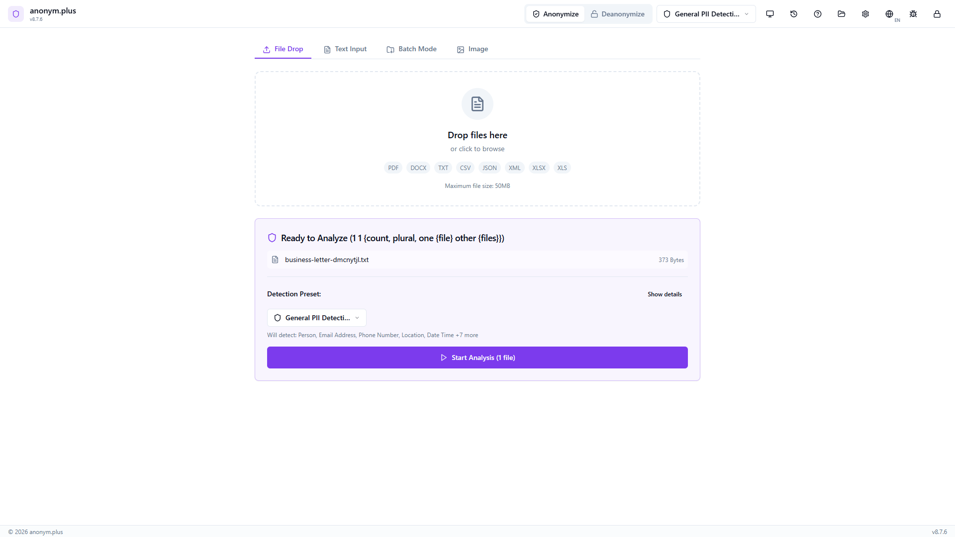 Text file business-letter.txt queued and ready for analysis with General PII Detection preset and Start Analysis button