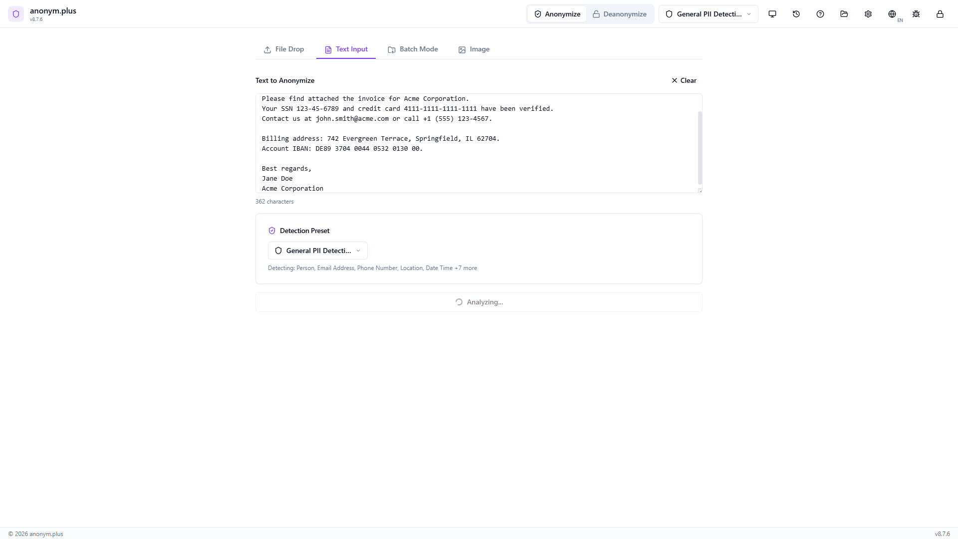 Analyzing text to detect personal data entities before encryption