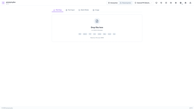 File anonymization demo preview