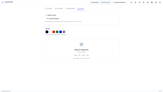 Image anonymization demo preview