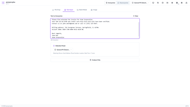 Text anonymization demo preview